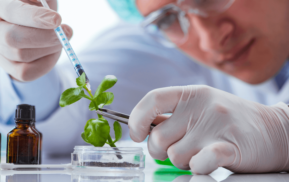 Bionetwork North Carolina Biotechnology Training for Students – BioNetwork - NCCCS
