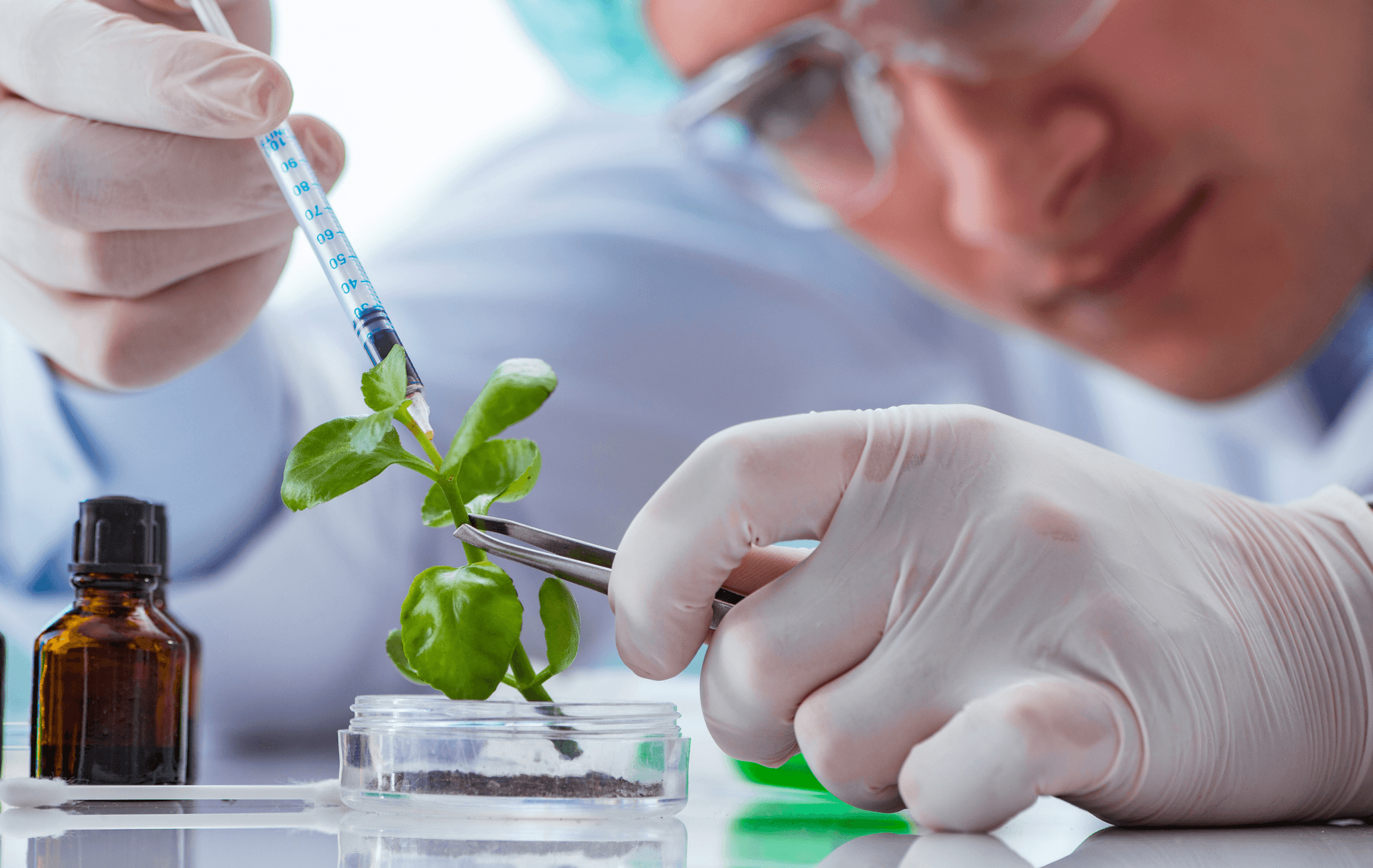 Bionetwork Lab North Carolina Biotechnology Training for Students – BioNetwork - NCCCS