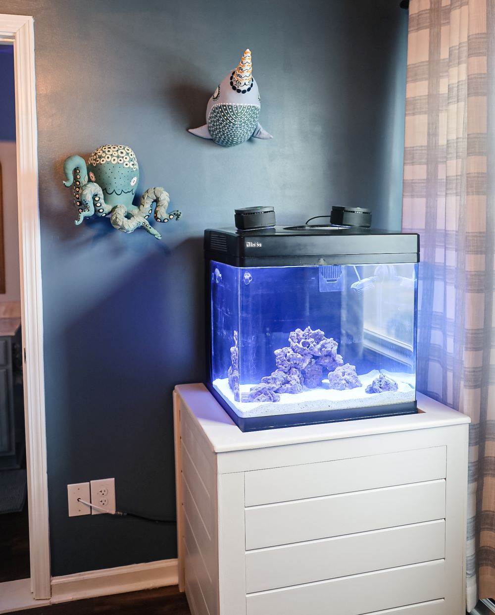 fish tank in bedroom 